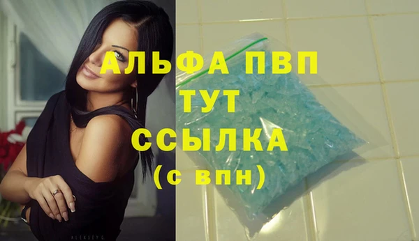 сатива Лихославль