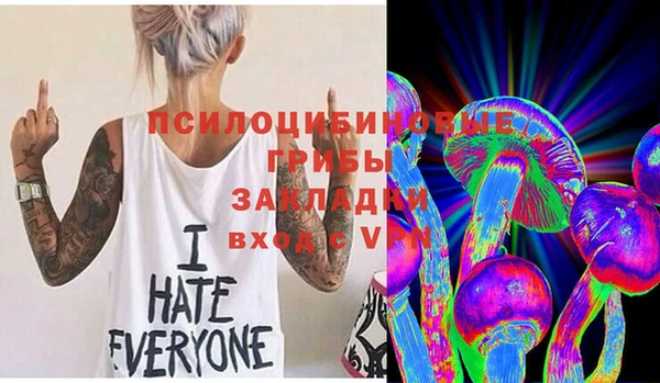сатива Лихославль
