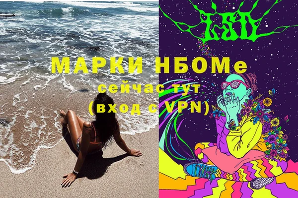 сатива Лихославль