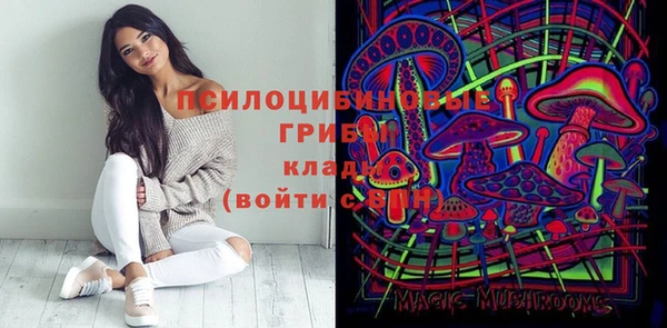 2c-b Лиски