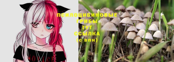 2c-b Лиски