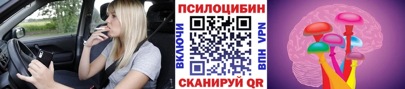 Галлюциногенные грибы Psilocybine cubensis  Фокино 