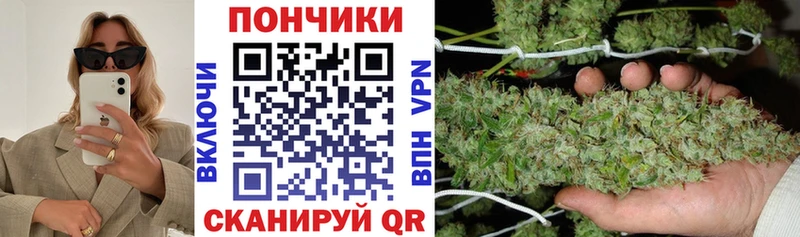 сайты даркнета как зайти  Фокино  Бошки марихуана планчик 